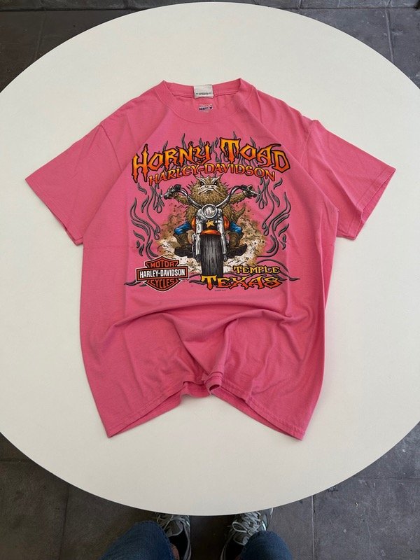 Producto - Harley Davinson Horny Toad 2006-7 (M)