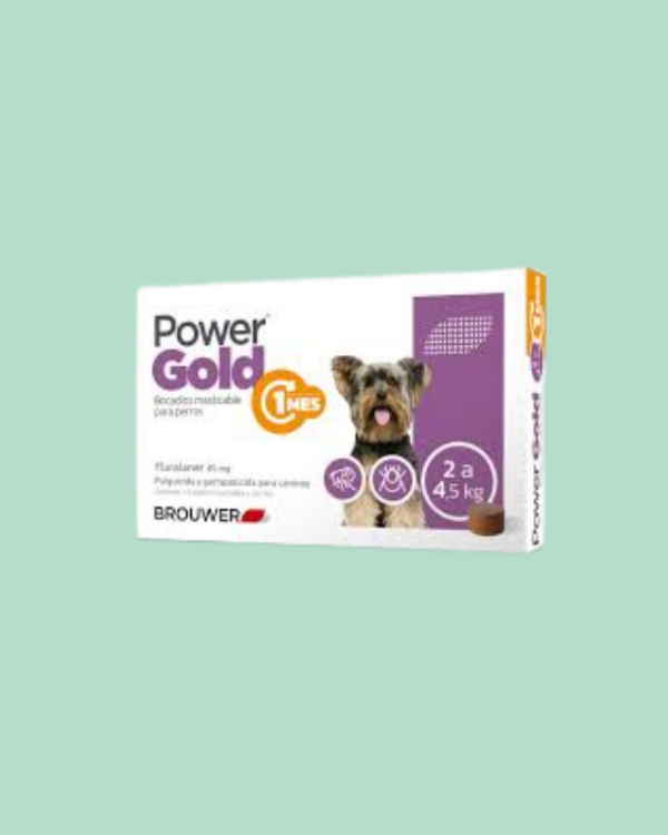 Producto - POWER GOLD 2 A 4KG
