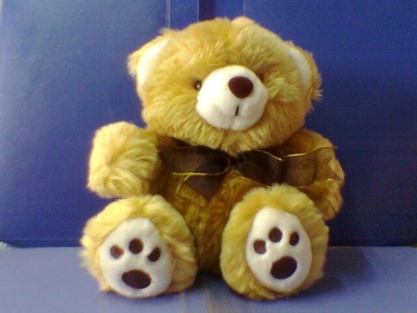 Producto - oso de 30 cm