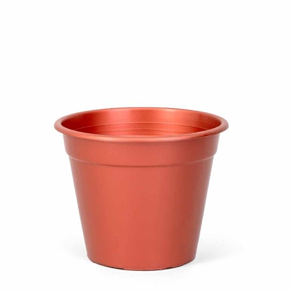 Producto - BERUPLAST CLASICA 14