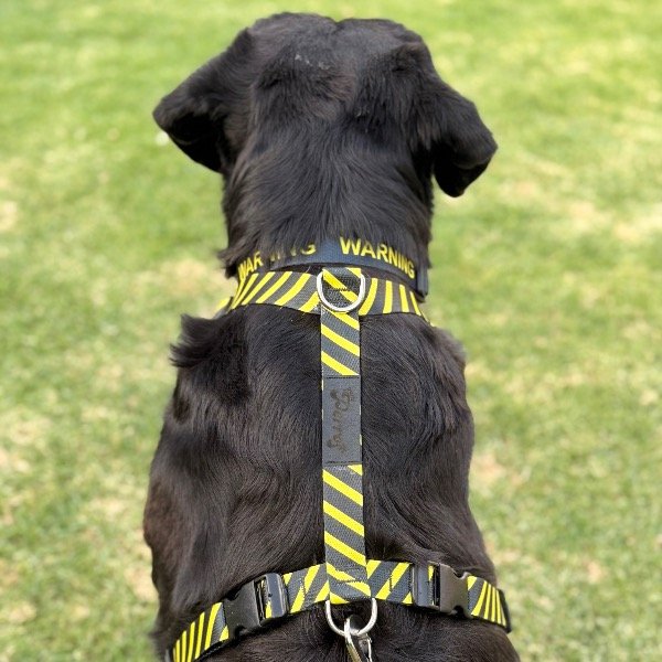 Producto - Pretal H Bee