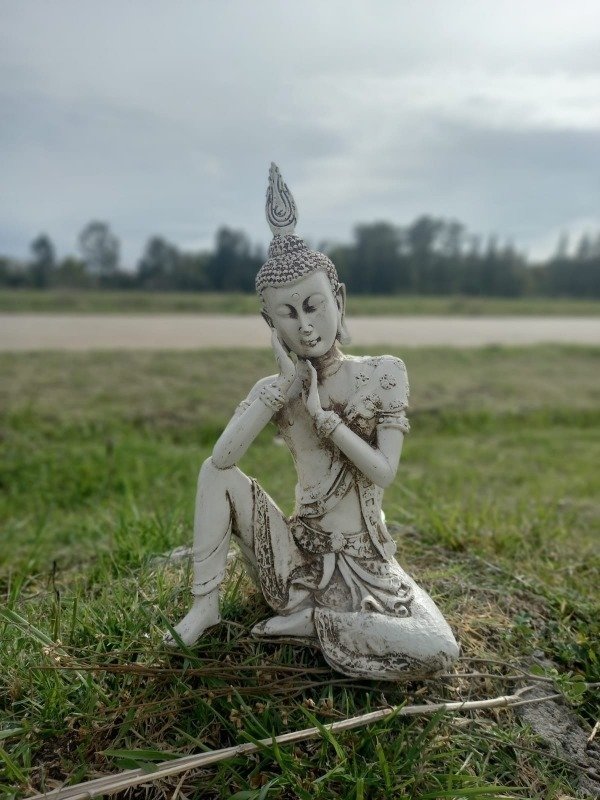 Producto - BUDA INDIO