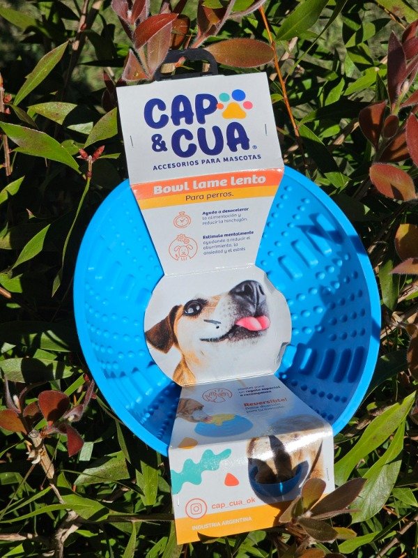 Producto - Bowl interactivo para comer lento