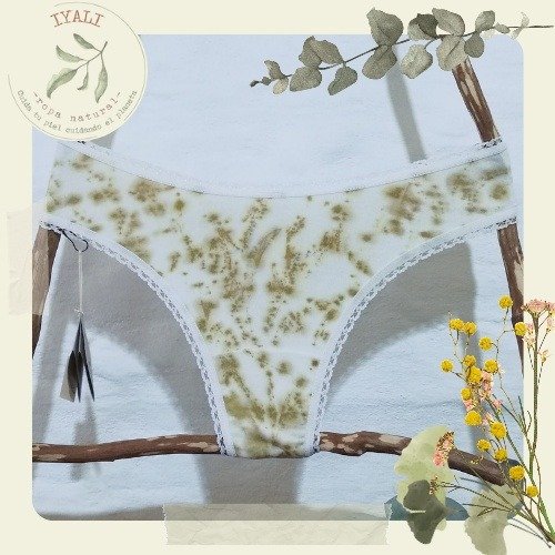 Producto - Vedetina clásica, less, talle 1, Grevillea