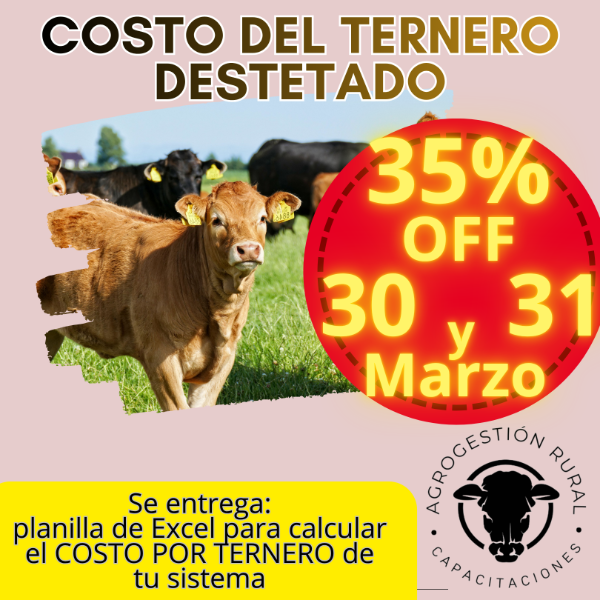 Producto - Taller Online: Costo del Ternero