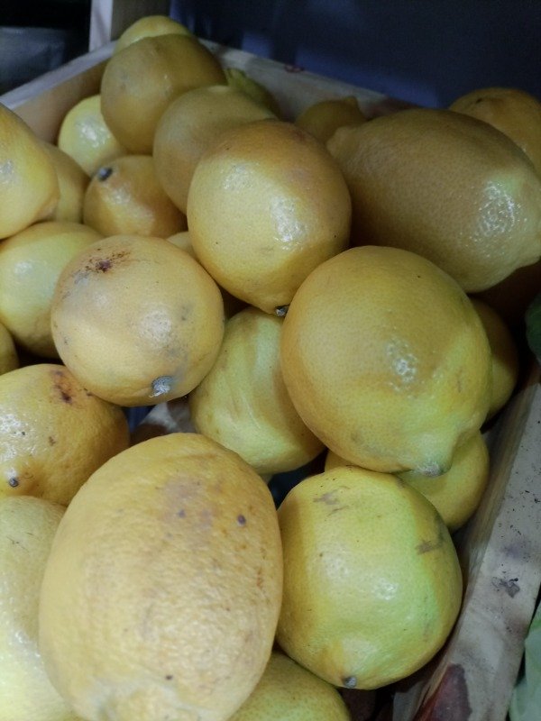Producto - OFERTA!! Limon agro x 2kg