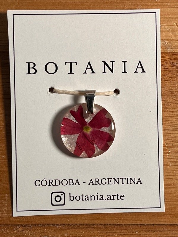 Producto - Variedad 31 verbena roja - 2