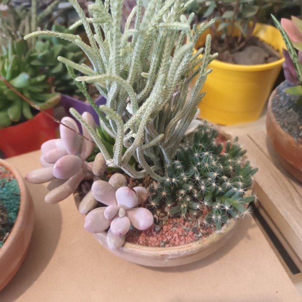 Miniatura de producto - 8