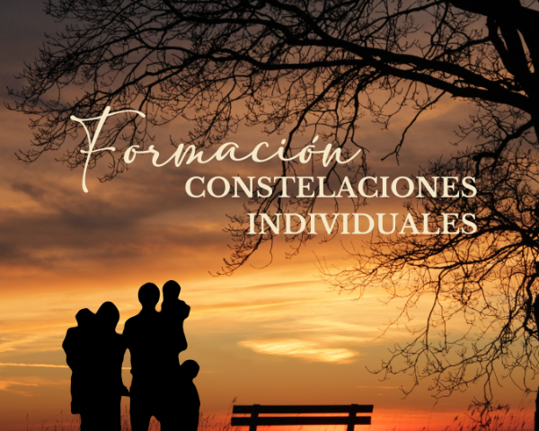 Producto - Formación en Constelaciones Individuales