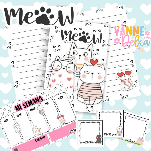 Producto - COMBO GATOS VANNE