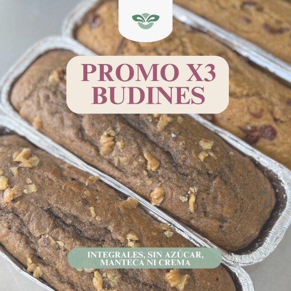 Producto - PROMO X3 BUDINES INTEGRALES-SIN AZUCAR