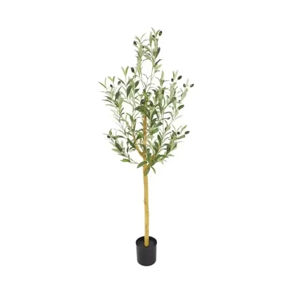 Producto - OLIVO 120CM