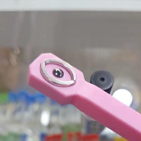 Producto - IMAN MARIPOSA PARIS NIGHT PARA OJO DE GATO