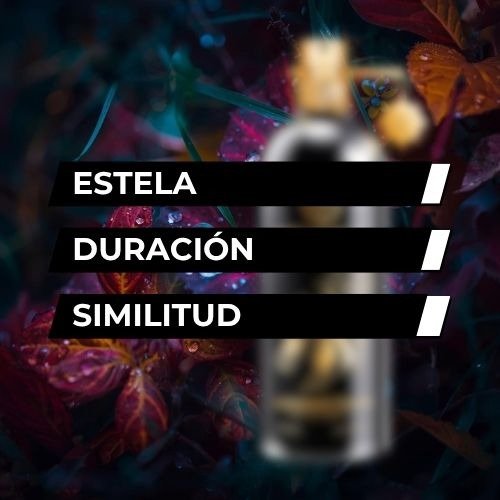 Producto - TIPO ARABIANS TONKA 55ml