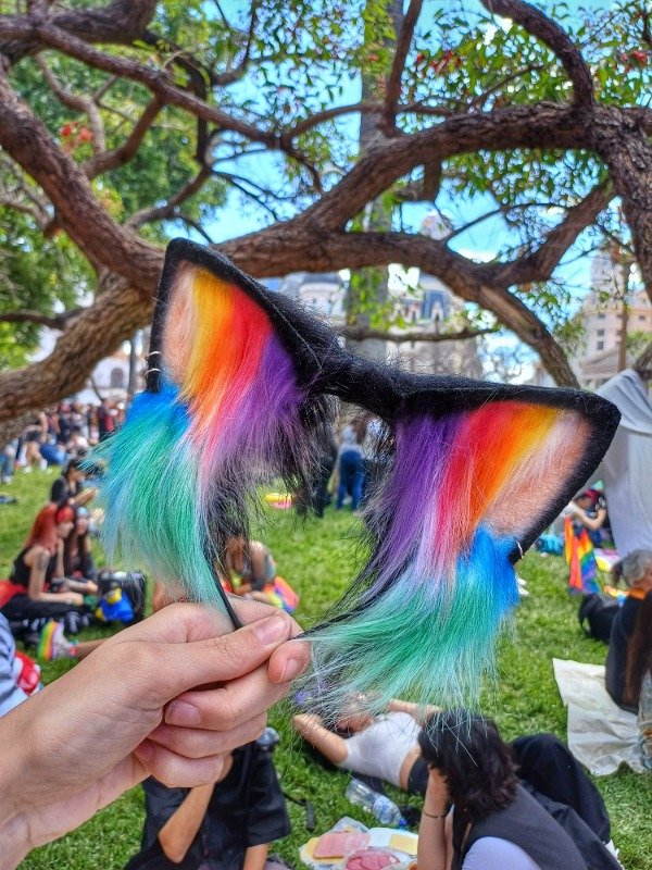 Producto - Orejas Gato Orgullo