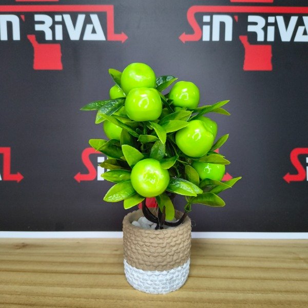 Producto - PLANTA CON FRUATAS EN MACETA 9467