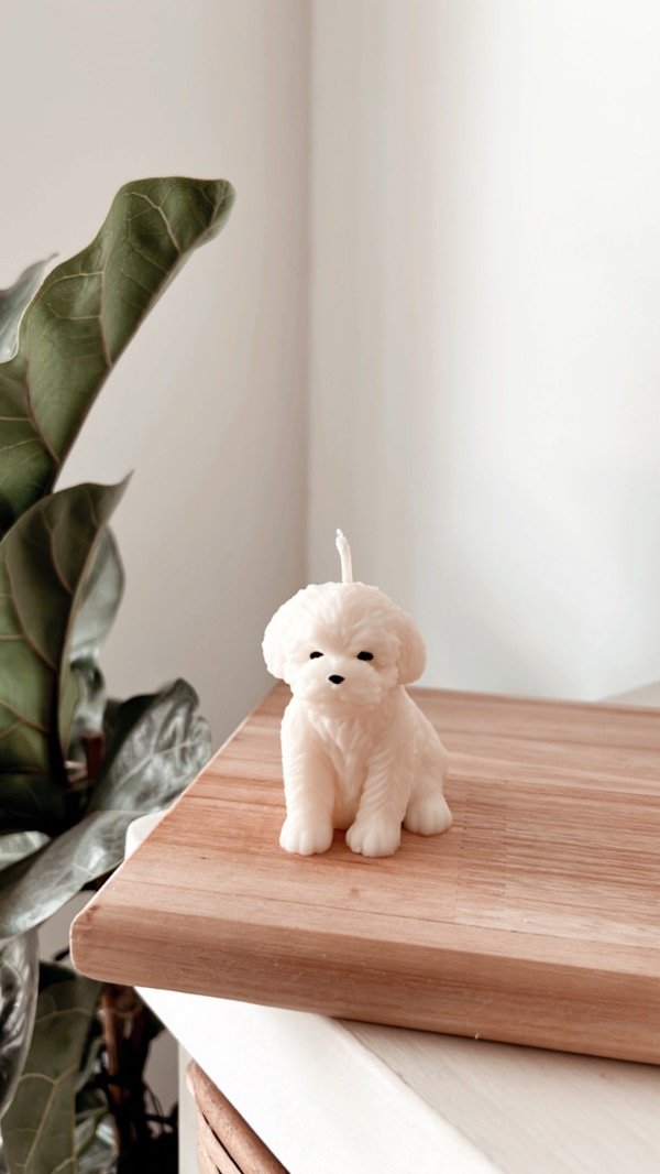 Producto - Perrito mini