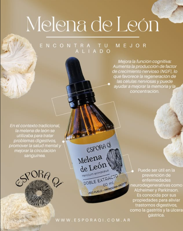 Producto - Melena de León
