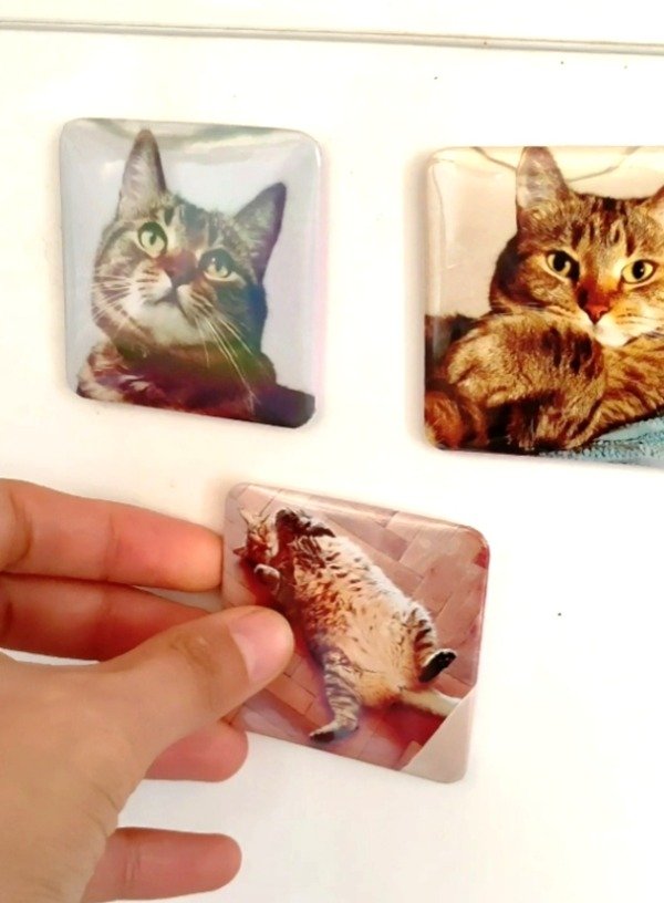 Producto - FOTOS IMANES 5X5CM - 2