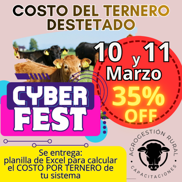 Producto - Taller Online: Costo del Ternero