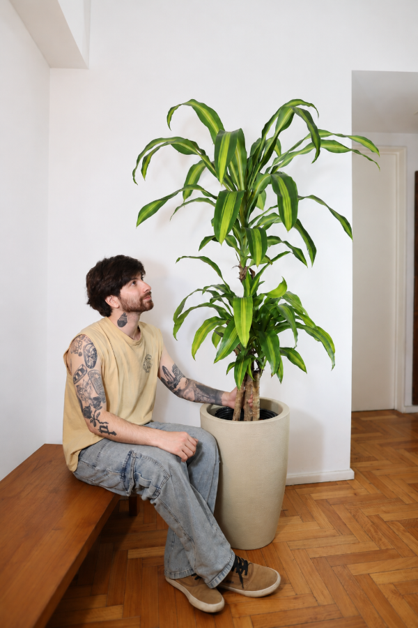 Producto - Palo de Agua XG - 0