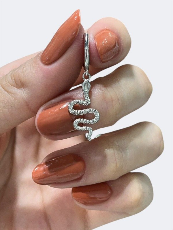 Producto - Aros Snake