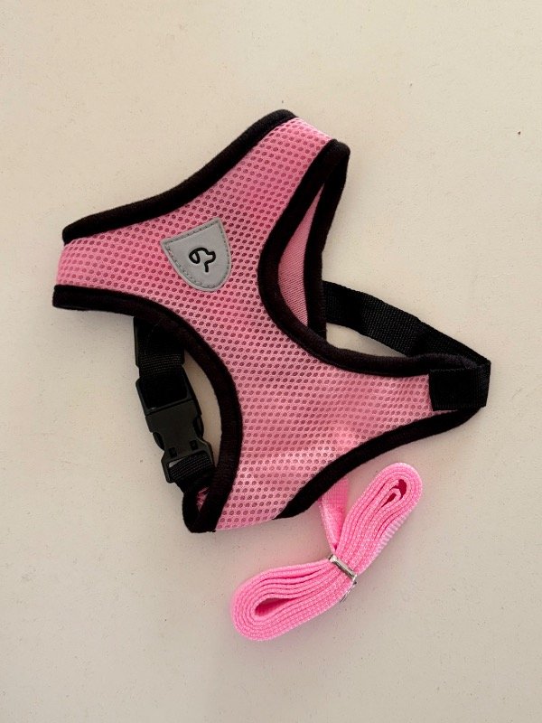 Producto - Pretales Red - 3