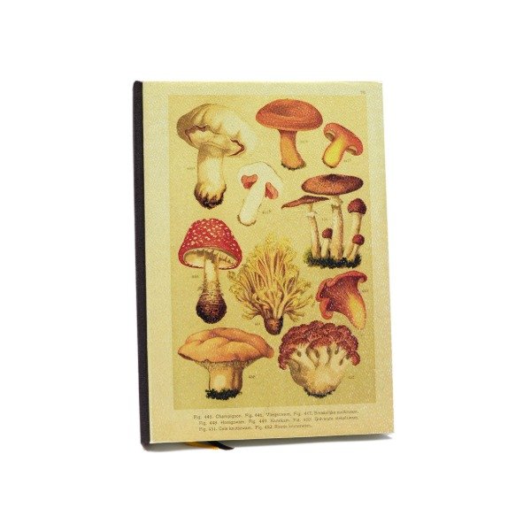 Producto - Hongos variopinto