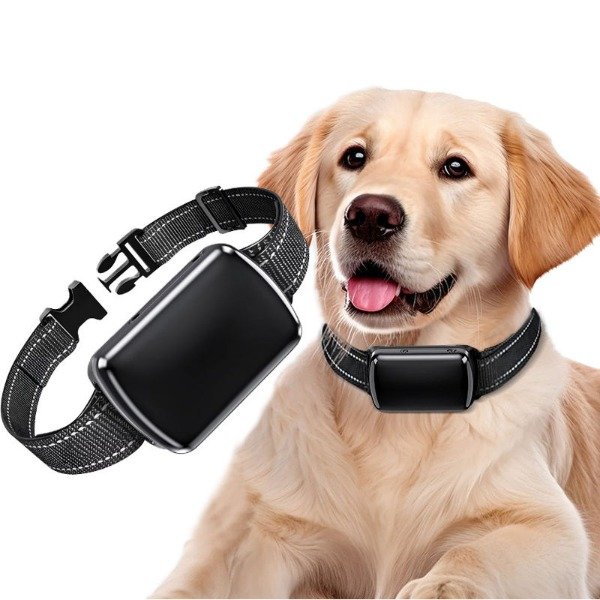Producto - Gps TRAKKI PET 4g rastreo para MASCOTAS