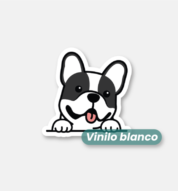 Producto - Bulldog frances