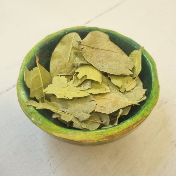 Producto - Boldo en Hojas