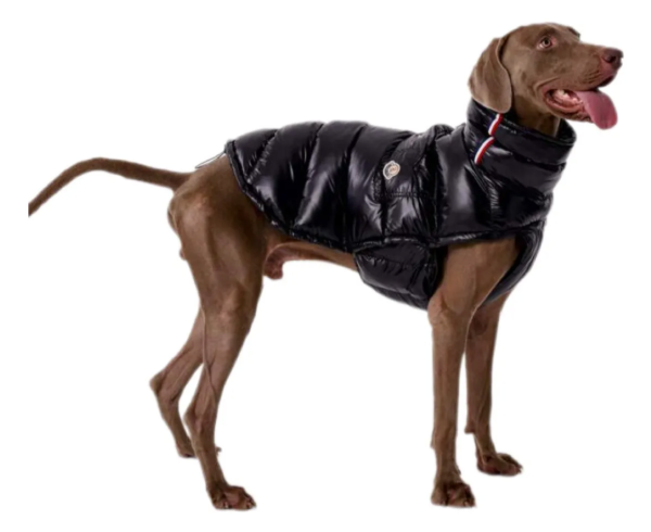 Producto - Campera de abrigo negra.