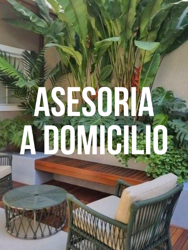 Producto - ASESORÍA A DOMICILIO
