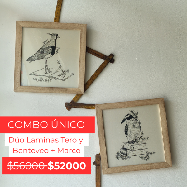 Producto - DUO DE CUADROS TERO Y BENTEVEO 20x20