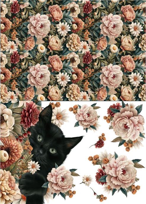 Producto - CATCUTE 4C