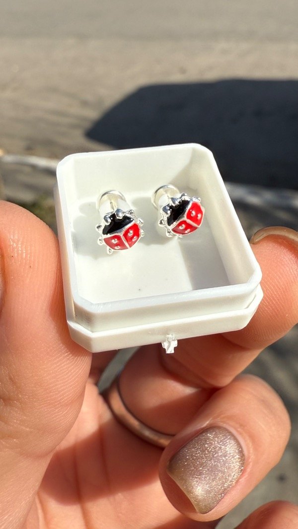 Producto - Vaquitas de Plata