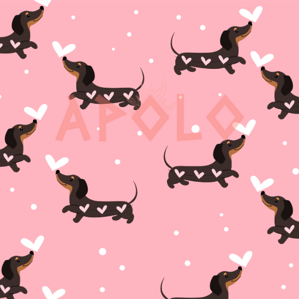 Producto - PERRO - 101