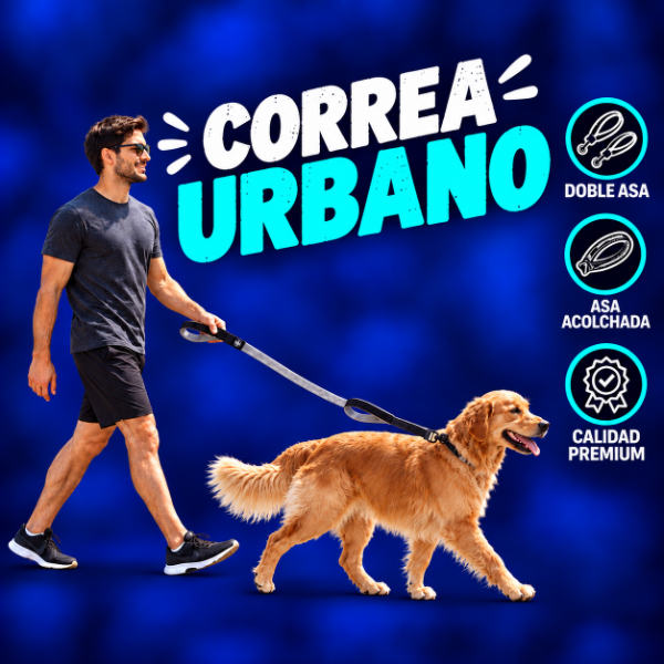 Producto - CORREA URBANO / Con doble Asa Acolchada - 4