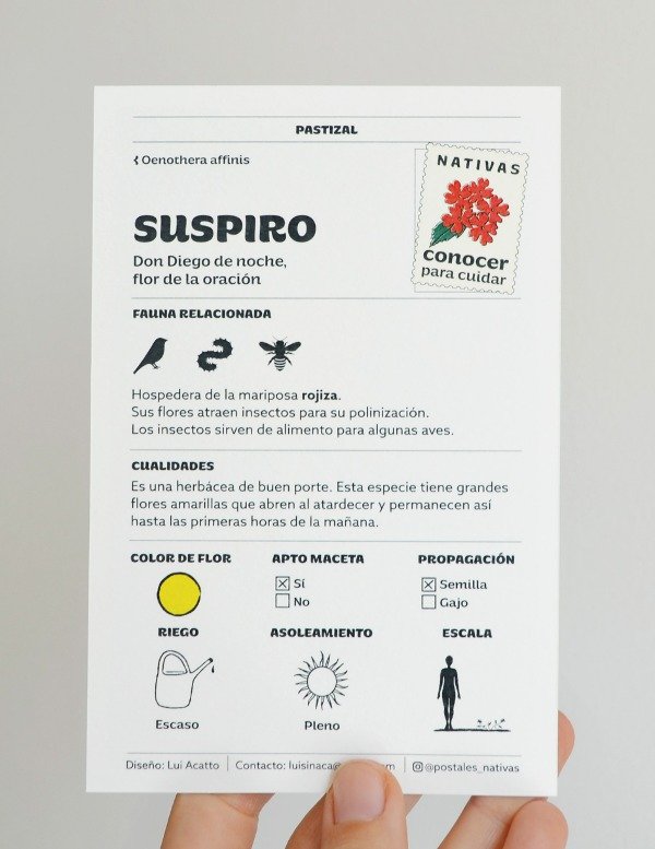 Producto - Postal - Suspiro - 1