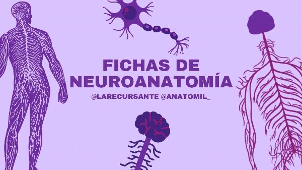 Producto - fichas neuro - pdf