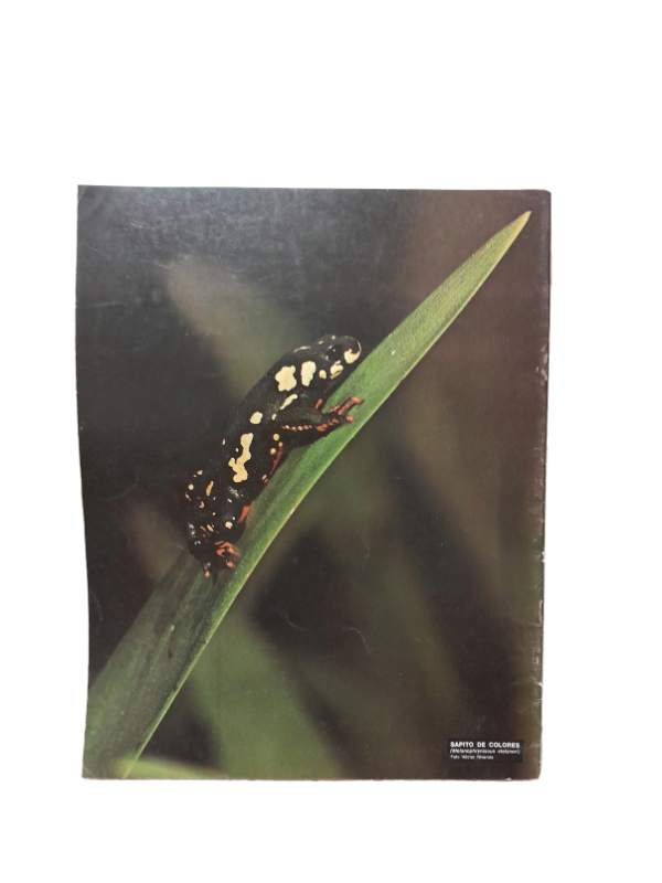 Miniatura de producto - 7