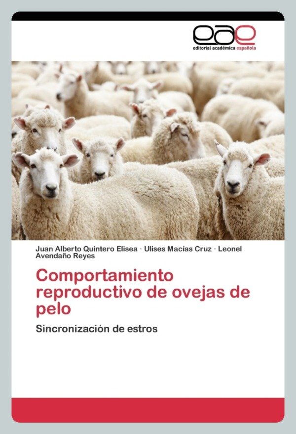 Producto - Quintero: Comportamiento Reproductivo de Ovejas de Pelo