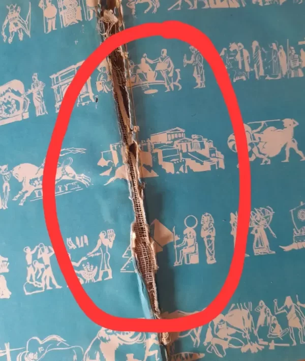 Miniatura de producto - 6