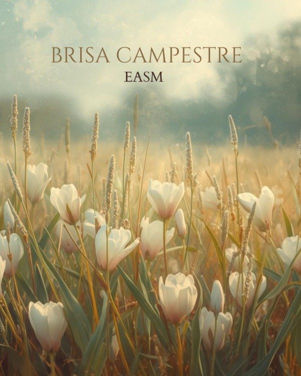 Producto - Esencia pura de BRISA CAMPESTRE