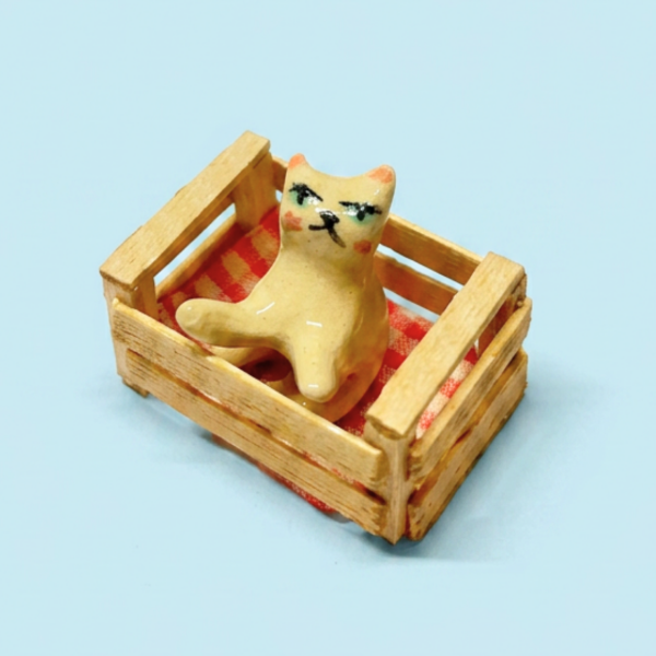 Producto - mini gatito en cajón x verdeagua