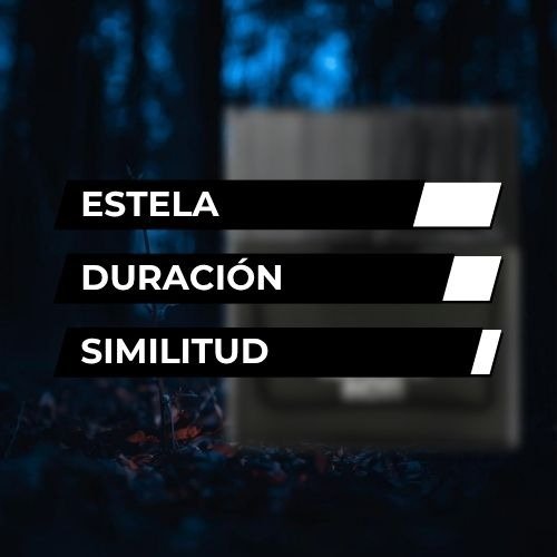 Producto - TIPO NOIR 55ml