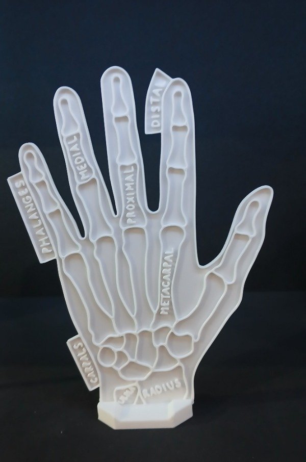 Producto - Mano para pintura