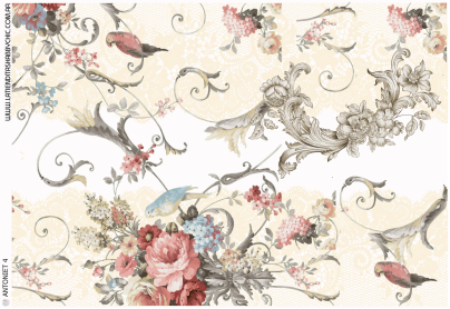 Producto - ANTONIET 4 A4