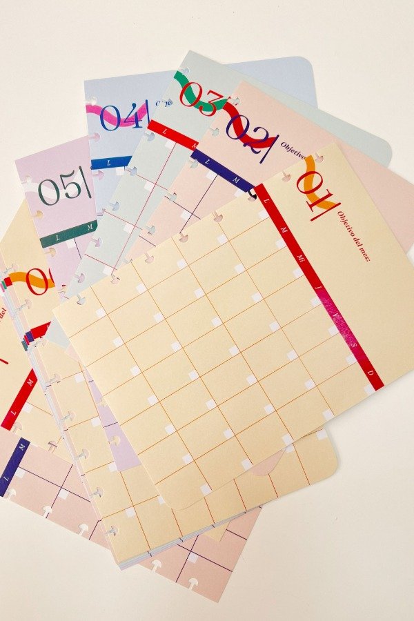 Producto - Caratulas 12 meses  A5 - para sistema de discos