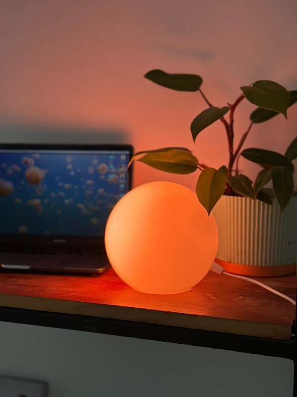 Miniatura de producto - 12